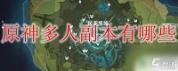 原神 多人秘境 原神多人副本有什么高难度挑战