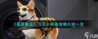 星球重启飞天小柯基宠物怎么样-飞天小柯基宠物介绍介绍