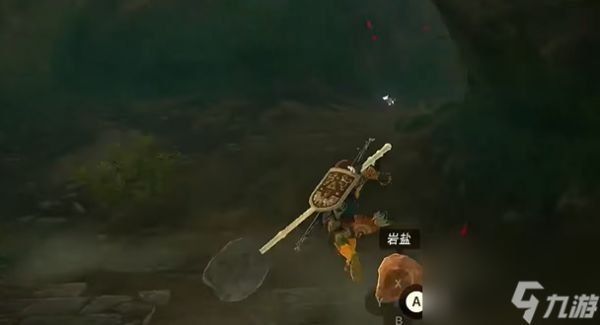 《塞尔达传说王国之泪》海利亚士兵护胫怎么获得?海利亚士兵护胫获取攻略