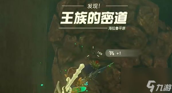 《塞尔达传说王国之泪》海利亚士兵护胫怎么获得?海利亚士兵护胫获取攻略