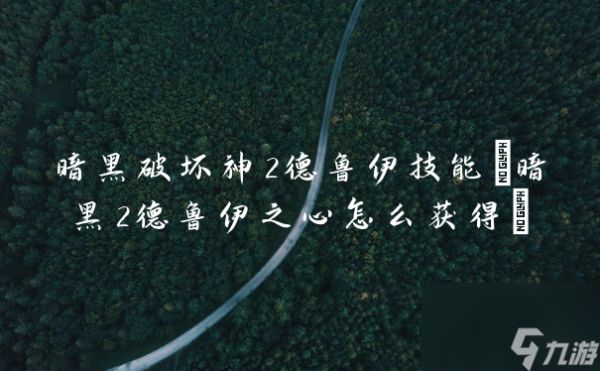 暗黑破坏神2德鲁伊技能(暗黑2德鲁伊之心怎么获得)