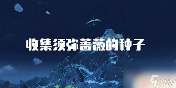 原神收集须弥蔷薇怎么做 原神须弥蔷薇种子任务攻略