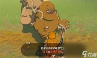 《塞尔达传说 王国之泪》红宝石货摊介绍