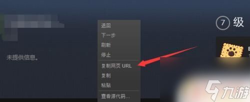 在哪查steam用户名 如何查看自己的Steam ID