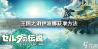 塞尔达传说王国之泪伊波娜获取流程详细解答-伊波娜怎么得到