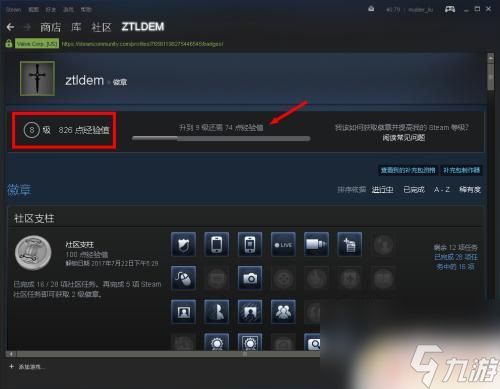 steam徽章查看 如何在Steam中查看个人徽章