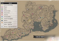 荒野大镖客2爪哇岛图鉴 荒野大镖客2爪哇岛图鉴在哪