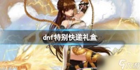 《dnf》特别快递礼盒奖励介绍