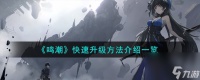 鸣潮怎么快速升级-快速升级方法详细介绍 详细介绍