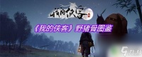 我的侠客野猪骨铜骨七 《我的侠客》野猪骨图鉴怎么获取