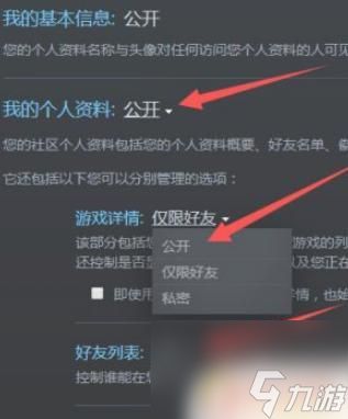 steam怎么公开资料 手机Steam隐私公开设置步骤