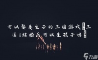 可以娶妻生子的三国游戏 三国8结婚后可以生孩子吗
