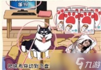 看你怎么秀大学生遛狗怎么通关