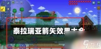 泰拉瑞亚符咒箭矢怎么用 教你一步步使用方法