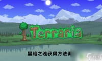 泰拉瑞亚怎么获取暗黑之魂 泰拉瑞亚黑暗之魂怎么获取教程
