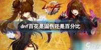 《dnf》百花伤害类型介绍