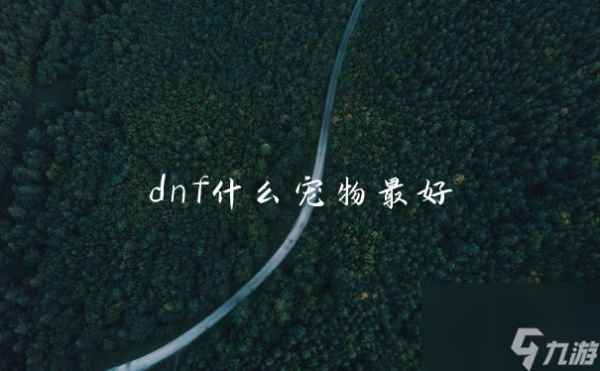 dnf什么宠物最好