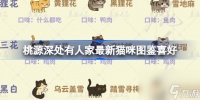 桃源深处有人家最新猫咪图鉴喜好 新版本猫咪喜好介绍