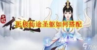 无极仙途圣躯怎么搭配