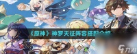 《原神》神罗天征阵容搭配介绍