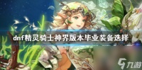 -dnf精灵骑士神界版本毕业装备选择-dn