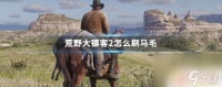 荒野大镖客怎么才能刷马 荒野大镖客2怎么快速刷马毛
