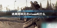 《逃离塔科夫》在steam名称介绍