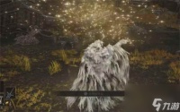 《艾尔登法环》消耗品使用介绍