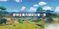 原神怎么捕获野禽 怎样在《原神》中捕捉全禽鸟
