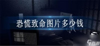 恐慌致命图片多少钱
