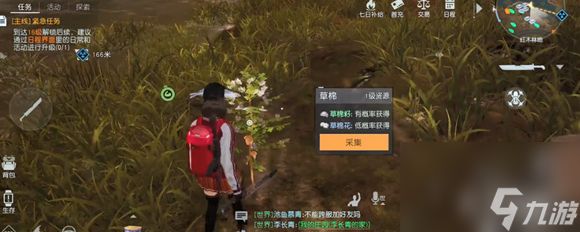 黎明觉醒草棉花哪里多