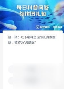 猜一猜以下哪种鱼因为长得像蟾蜍被称为海蟾蜍