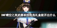 《DNF》晴空之岚武器装扮自选礼盒介绍
