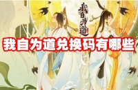 我自为道兑换码有什么