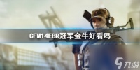 《CF》M14EBR冠军金牛展示