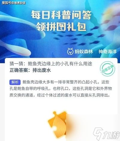 猜一猜鲍鱼壳边缘上的小孔有什么用途