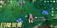 《原神》树王圣体菇采集全攻略 一起探寻树王圣体菇的发现之旅