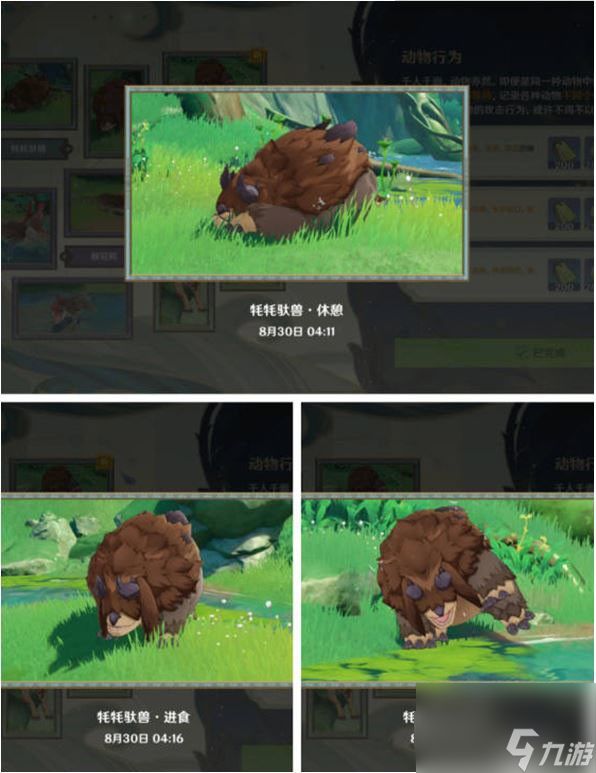原神动物行为攻略