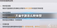 天谕手游怎么转体型