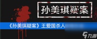 《孙美琪疑案》三级线索王爱国杀人获取方法