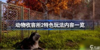 动物收容所2好玩吗-动物收容所2特色玩法内容介绍