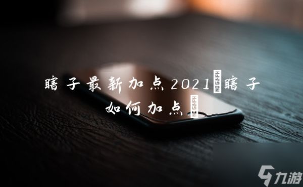 瞎子最新加点2021(瞎子如何加点)