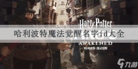 哈利波特魔法觉醒名字id大全