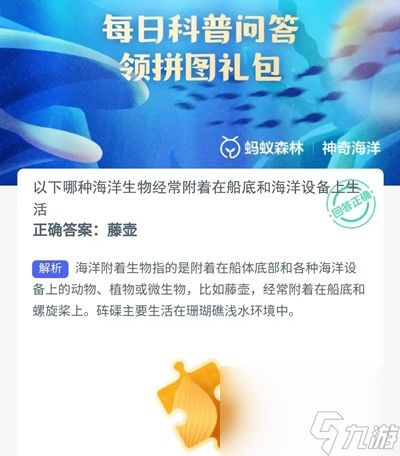 以下哪种海洋生物经常附着在船底和海洋设备上生活