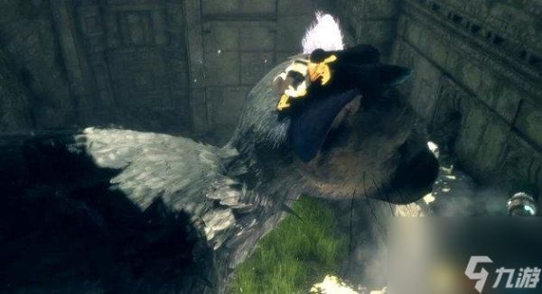 最后的守护者水池攻略详解：如何安全通过水池？