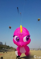 荣耀大师为哪个英雄制作了巨型风筝 揭秘郭洪利大师的巨型风筝制作过程和内幕