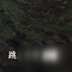 荒野大镖客2滚轮闭锁步枪怎么获得 滚轮闭锁步枪获取攻略