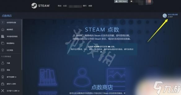 steam点数余额有什么用 Steam点数的使用方法详解