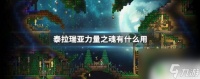 力量之魂泰拉瑞亚有什么用 泰拉瑞亚力量之魂有什么类型