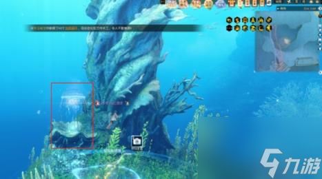 逆水寒荧光水母位置介绍